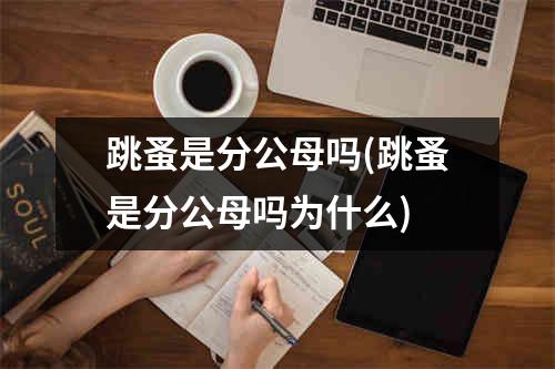 跳蚤是分公母吗(跳蚤是分公母吗为什么)