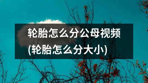 轮胎怎么分公母视频(轮胎怎么分大小)