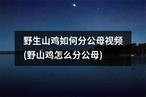 野生山鸡如何分公母视频(野山鸡怎么分公母)