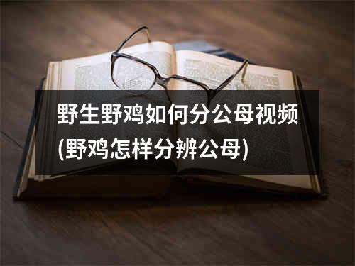 野生野鸡如何分公母视频(野鸡怎样分辨公母)