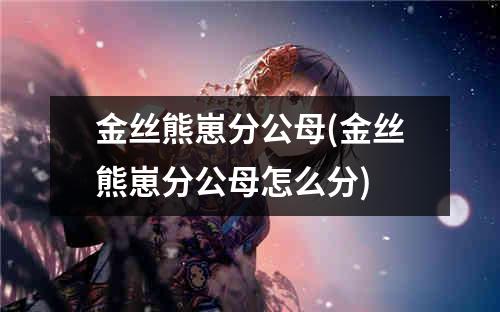 金丝熊崽分公母(金丝熊崽分公母怎么分)