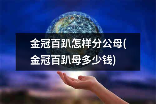 金冠百趴怎样分公母(金冠百趴母多少钱)