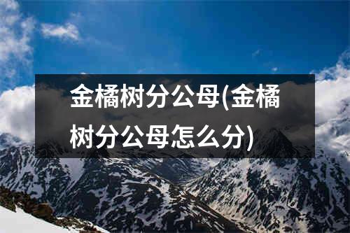 金橘树分公母(金橘树分公母怎么分)