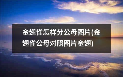 金翅雀怎样分公母图片(金翅雀公母对照图片金翅)