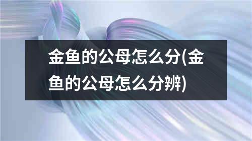 金鱼的公母怎么分(金鱼的公母怎么分辨)