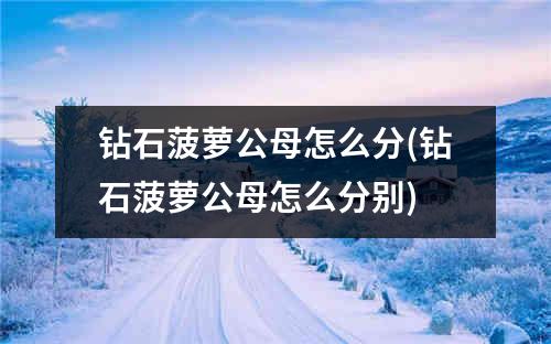 钻石菠萝公母怎么分(钻石菠萝公母怎么分别)