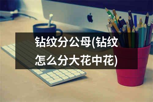 钻纹分公母(钻纹怎么分大花中花)