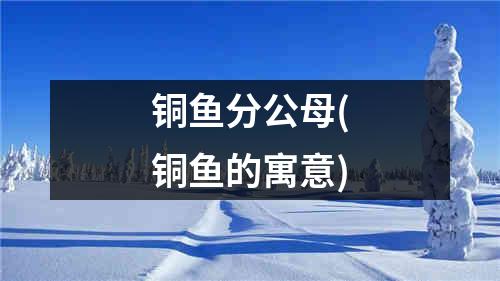 铜鱼分公母(铜鱼的寓意)