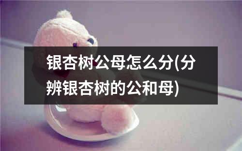 银杏树公母怎么分(分辨银杏树的公和母)