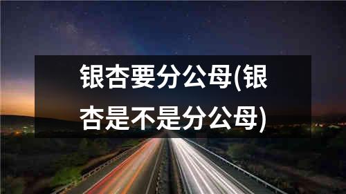 银杏要分公母(银杏是不是分公母)