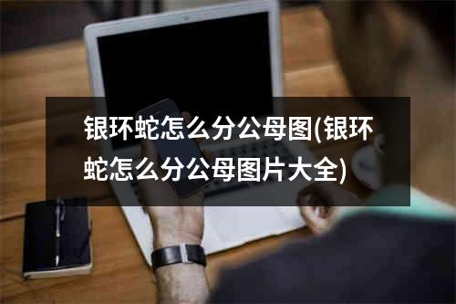 银环蛇怎么分公母图(银环蛇怎么分公母图片大全)