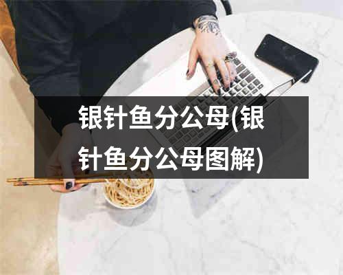 银针鱼分公母(银针鱼分公母图解)