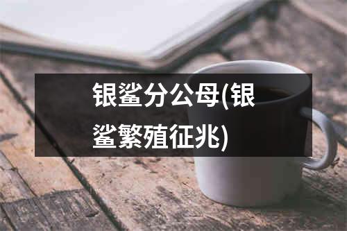 银鲨分公母(银鲨繁殖征兆)