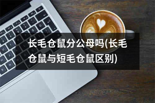 长毛仓鼠分公母吗(长毛仓鼠与短毛仓鼠区别)