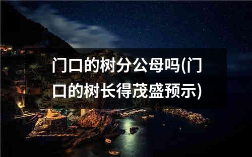 门口的树分公母吗(门口的树长得茂盛预示)