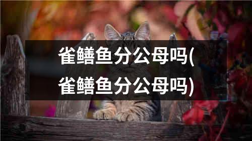 雀鳝鱼分公母吗(雀鳝鱼分公母吗)