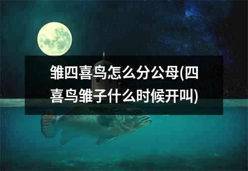 雏四喜鸟怎么分公母(四喜鸟雏子什么时候开叫)