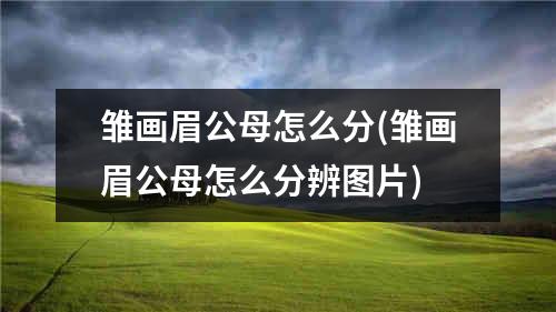 雏画眉公母怎么分(雏画眉公母怎么分辨图片)