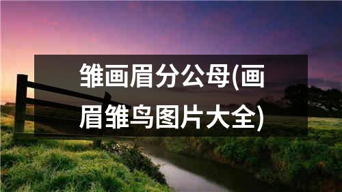 雏画眉分公母(画眉雏鸟图片大全)