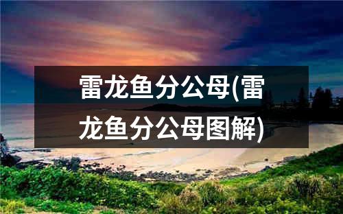 雷龙鱼分公母(雷龙鱼分公母图解)