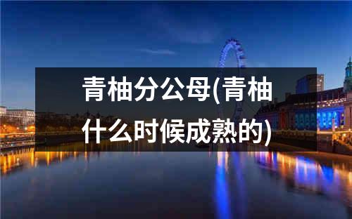 青柚分公母(青柚什么时候成熟的)