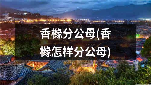 香橼分公母(香橼怎样分公母)