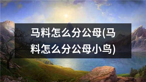 马料怎么分公母(马料怎么分公母小鸟)