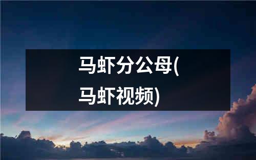 马虾分公母(马虾视频)