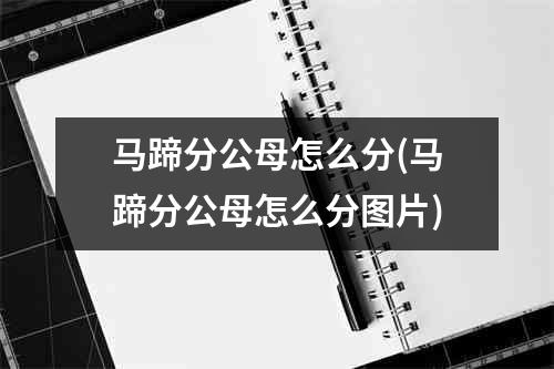 马蹄分公母怎么分(马蹄分公母怎么分图片)