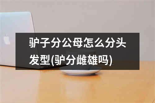 驴子分公母怎么分头发型(驴分雌雄吗)