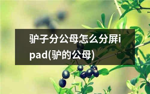 驴子分公母怎么分屏ipad(驴的公母)