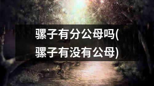 骡子有分公母吗(骡子有没有公母)