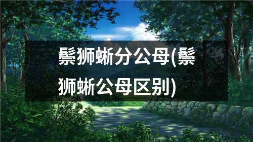 鬃狮蜥分公母(鬃狮蜥公母区别)