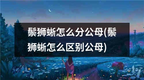 鬃狮蜥怎么分公母(鬃狮蜥怎么区别公母)