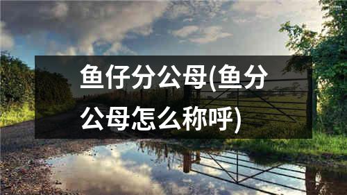 鱼仔分公母(鱼分公母怎么称呼)