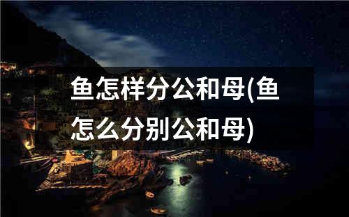 鱼怎样分公和母(鱼怎么分别公和母)