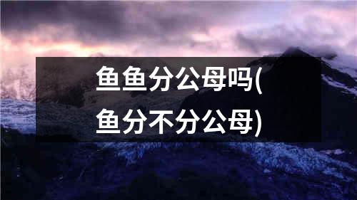 鱼鱼分公母吗(鱼分不分公母)