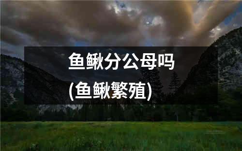 鱼鳅分公母吗(鱼鳅繁殖)