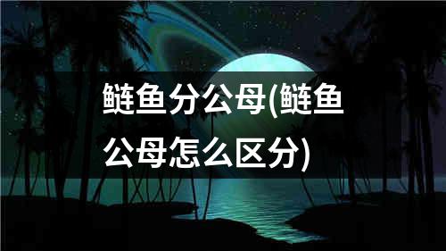 鲢鱼分公母(鲢鱼公母怎么区分)