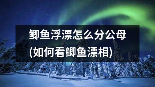 鲫鱼浮漂怎么分公母(如何看鲫鱼漂相)