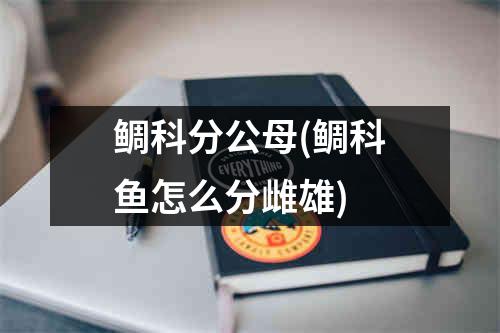 鲷科分公母(鲷科鱼怎么分雌雄)