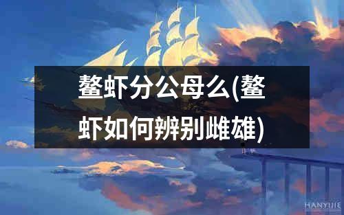 鳌虾分公母么(鳌虾如何辨别雌雄)