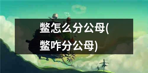 鳖怎么分公母(鳖咋分公母)