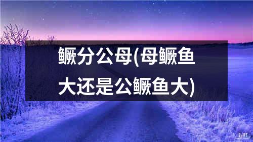 鳜分公母(母鳜鱼大还是公鳜鱼大)