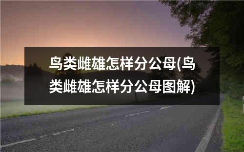 鸟类雌雄怎样分公母(鸟类雌雄怎样分公母图解)