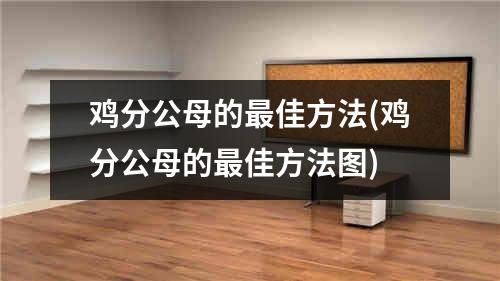 鸡分公母的最佳方法(鸡分公母的最佳方法图)