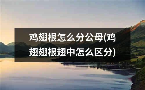 鸡翅根怎么分公母(鸡翅翅根翅中怎么区分)