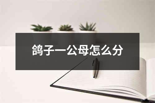 鸽子一公母怎么分