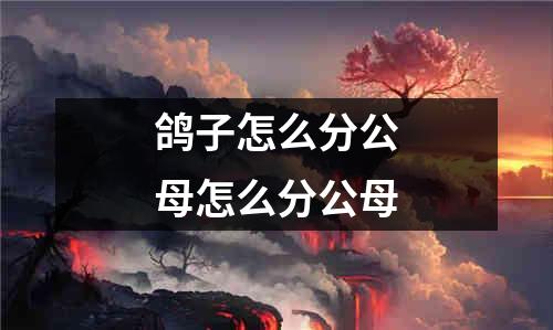 鸽子怎么分公母怎么分公母