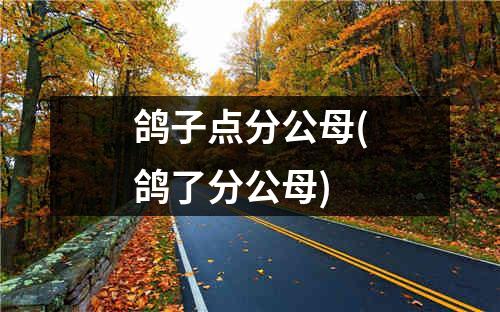 鸽子点分公母(鸽了分公母)